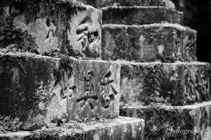 Nara Stone Characters